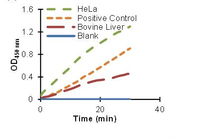 Functional Studies - Phosphofructokinase Activity Assay Kit (6-PFK, Colorimetric) (AB155898), expandable thumbnail