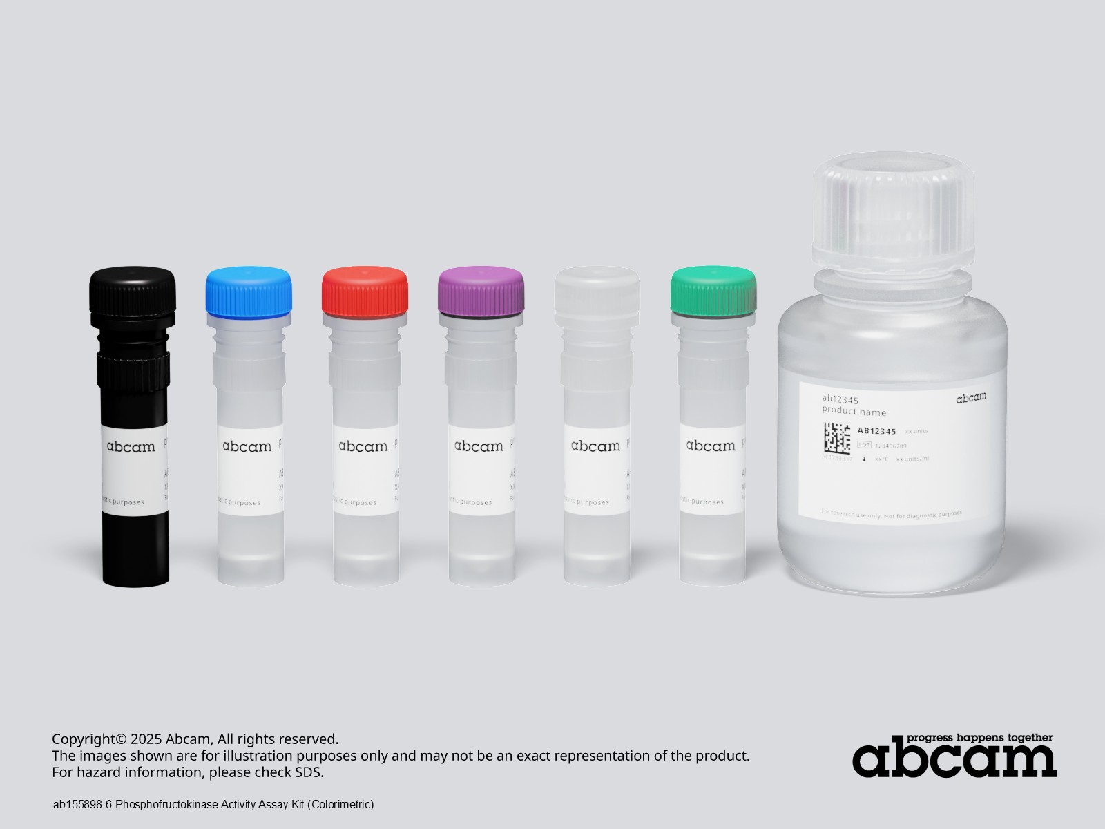 kaukページ 6-Phosphofructokinase Activity Assay Kit (Colorimetric) (ab155898