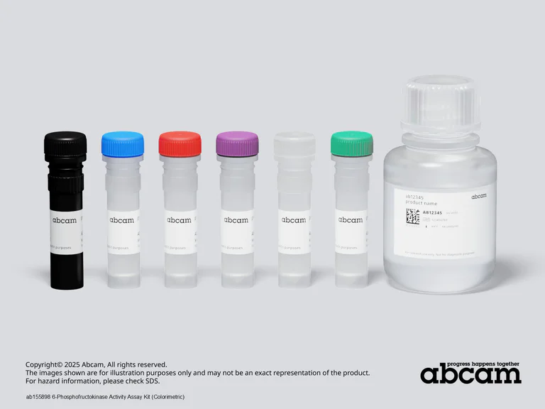 6-Phosphofructokinase Activity Assay Kit (Colorimetric) (ab155898