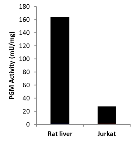 Functional Studies - Phosphoglucomutase Activity Assay Kit (Fluorometric) (AB211104)