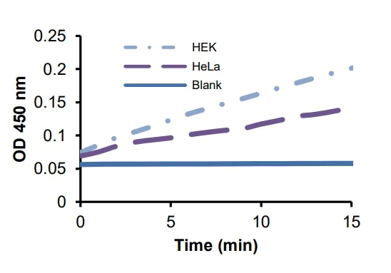 Functional Studies - Phosphoglycerate Dehydrogenase (PHGDH) Activity Assay Kit (Colorimetric) (AB273328)