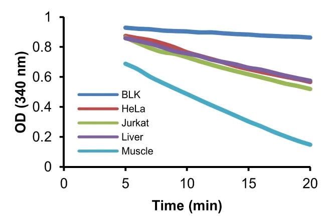 Enzyme activity assay - Phosphoglycerate Kinase Activity Assay Kit (Colorimetric) (AB252890)