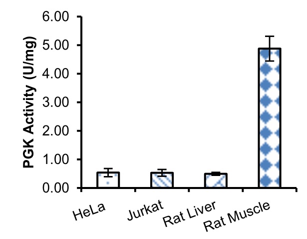 Enzyme activity assay - Phosphoglycerate Kinase Activity Assay Kit (Colorimetric) (AB252890)