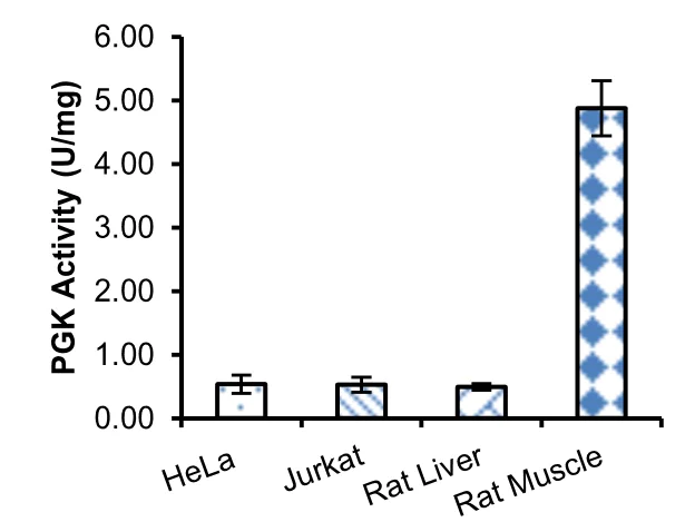 Enzyme activity assay - Phosphoglycerate Kinase Activity Assay Kit (Colorimetric) (AB252890)