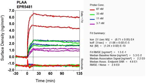 OI-RD Scanning - Anti-Phospholipase A2 activator protein (PLAP) antibody [EPR5481] (AB133589)
