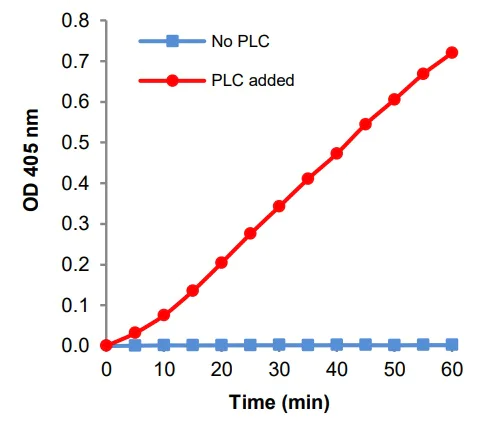 Functional Studies - Phospholipase C Activity Assay Kit (Colorimetric) (AB273343)