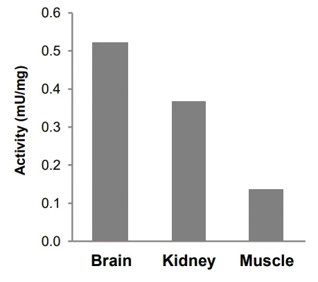 Functional Studies - Phospholipase C Activity Assay Kit (Colorimetric) (AB273343)