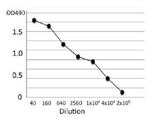 ELISA - Anti-Phospholipase C antibody [bc-01] (AB243181)