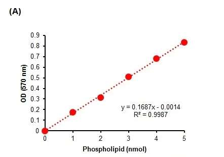 Functional Studies - Phospholipid Assay Kit (Colorimetric/Fluorometric) (AB234050)