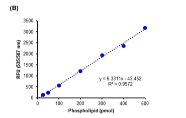 Functional Studies - Phospholipid Assay Kit (Colorimetric/Fluorometric) (AB234050)