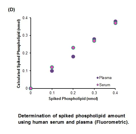 Functional Studies - Phospholipid Assay Kit (Colorimetric/Fluorometric) (AB234050)