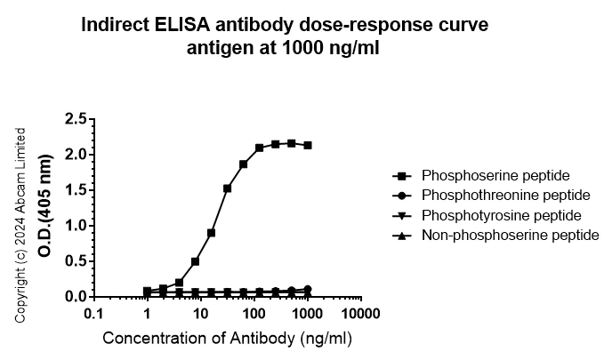 Indirect ELISA - Anti-Phosphoserine antibody [EPR28666-51] (AB322140)
