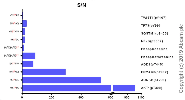 ELISA - Anti-Phosphothreonine antibody [EPR22006-23] - BSA and Azide free (AB256533)