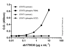 ELISA - Anti-Phosphotyrosine antibody [EPR16871] (AB179530)