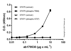 ELISA - Anti-Phosphotyrosine antibody [EPR16871] - BSA and Azide free (AB240219), expandable thumbnail