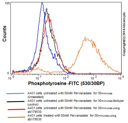 Flow Cytometry (Intracellular) - Anti-Phosphotyrosine antibody [EPR16871] - BSA and Azide free (AB240219), expandable thumbnail