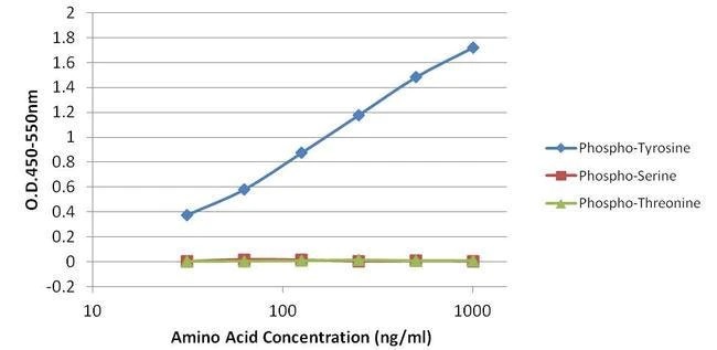 ELISA - Anti-Phosphotyrosine antibody [IG2] (AB5592), expandable thumbnail