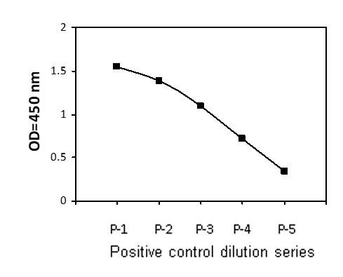 Sandwich ELISA - Phosphotyrosine BMX ELISA Kit (AB279749)