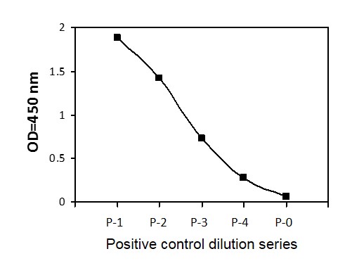Sandwich ELISA - Phosphotyrosine CSK ELISA Kit (AB279765)