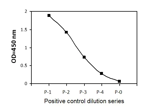 Sandwich ELISA - Phosphotyrosine CSK ELISA Kit (AB279765)