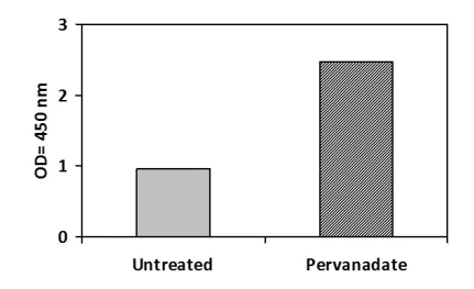 Sandwich ELISA - Phosphotyrosine CSK ELISA Kit (AB279765)