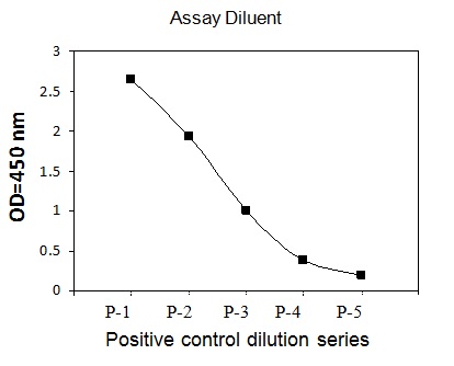 Sandwich ELISA - Phosphotyrosine Eph receptor A4/SEK ELISA Kit (AB279781)