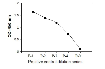 Sandwich ELISA - Phosphotyrosine Eph receptor A5/BSK ELISA Kit (AB279782)