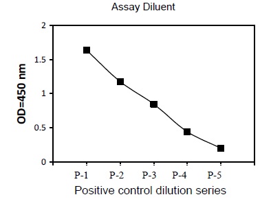 Sandwich ELISA - Phosphotyrosine Eph receptor B4/HTK ELISA Kit (AB279785)