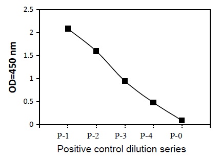 Sandwich ELISA - Phosphotyrosine ErbB4 / HER4 ELISA Kit (AB279792)