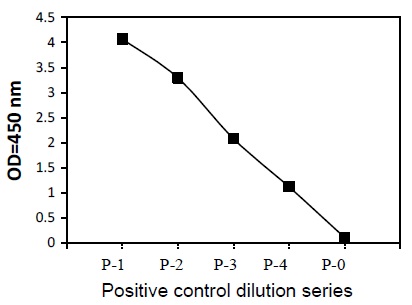 Sandwich ELISA - Phosphotyrosine FGFR1 ELISA Kit (AB279797)