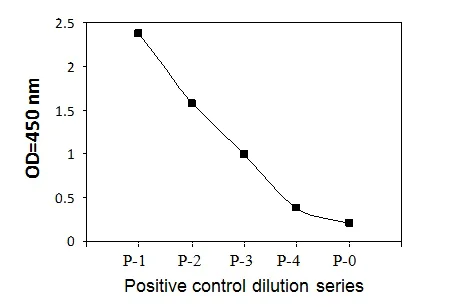 Sandwich ELISA - Phosphotyrosine FRK ELISA Kit (AB279803)