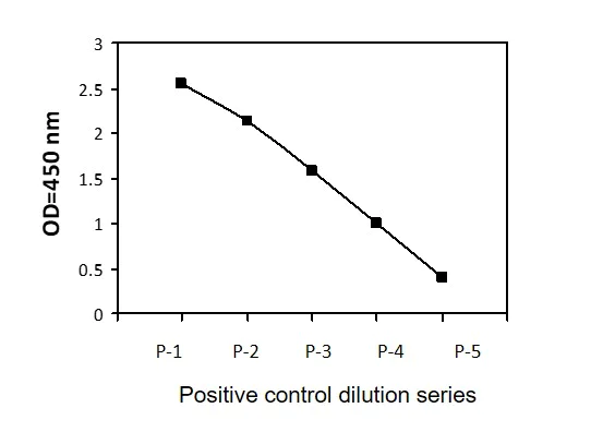 Sandwich ELISA - Phosphotyrosine FRS2 ELISA Kit (AB279804)