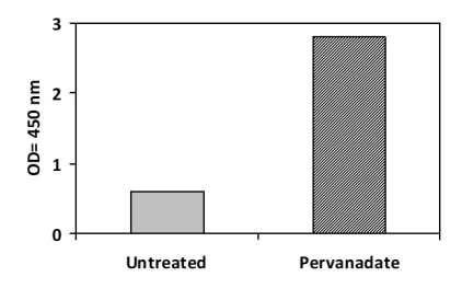 Sandwich ELISA - Phosphotyrosine FRS2 ELISA Kit (AB279804)