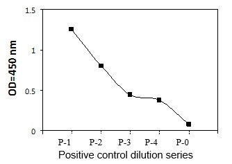 Sandwich ELISA - Phosphotyrosine Fyn ELISA Kit (AB279807)