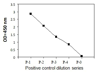 Sandwich ELISA - Phosphotyrosine GM-CSF Receptor alpha ELISA Kit (AB279858)
