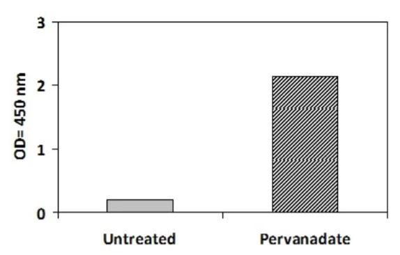Sandwich ELISA - Phosphotyrosine GM-CSF Receptor alpha ELISA Kit (AB279858)