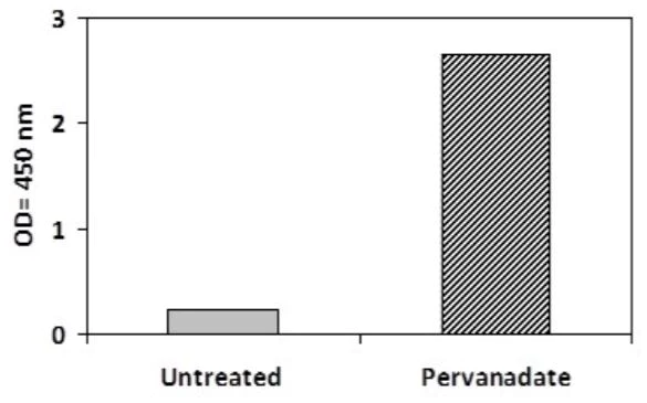 Sandwich ELISA - Phosphotyrosine iNOS ELISA Kit (AB279829)