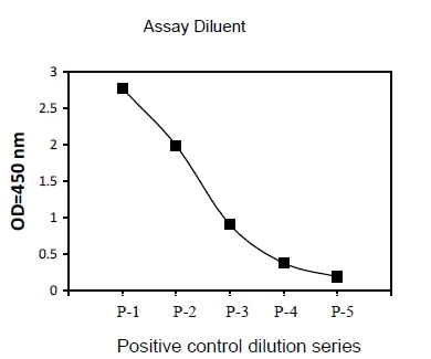 Sandwich ELISA - Phosphotyrosine JAK1 ELISA Kit (AB279836)