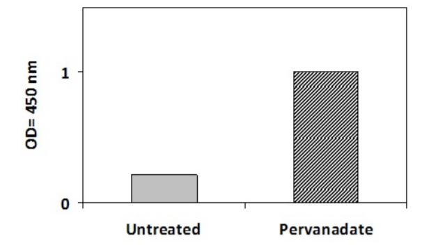 Sandwich ELISA - Phosphotyrosine Met (c-Met) ELISA Kit (AB279859)