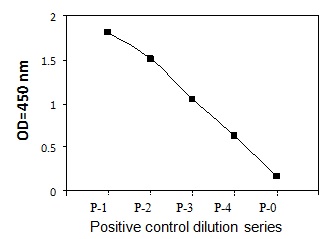 Sandwich ELISA - Phosphotyrosine PDGFR alpha ELISA Kit (AB279884)