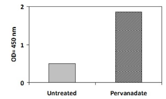 Sandwich ELISA - Phosphotyrosine PDGFR alpha ELISA Kit (AB279884)