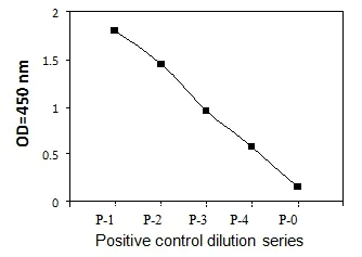 Sandwich ELISA - Phosphotyrosine PDGFR beta ELISA Kit (AB279885)