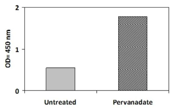 Sandwich ELISA - Phosphotyrosine PDGFR beta ELISA Kit (AB279885)