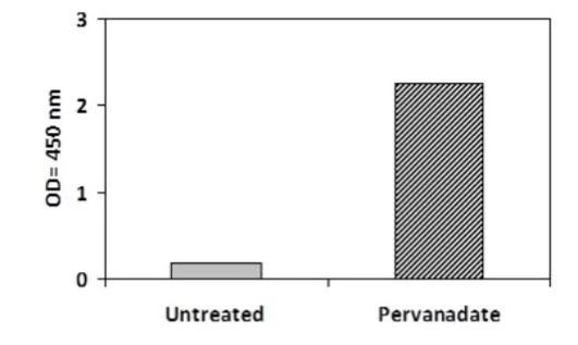 Sandwich ELISA - Phosphotyrosine Ret ELISA Kit (AB279907)