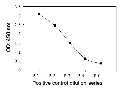 Sandwich ELISA - Phosphotyrosine Tec ELISA Kit (AB279954)