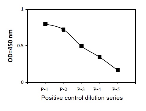 Sandwich ELISA - Phosphotyrosine TIE2 ELISA Kit (AB279956)