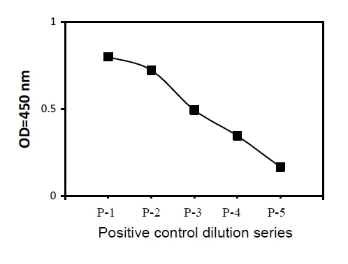 Sandwich ELISA - Phosphotyrosine TIE2 ELISA Kit (AB279956)