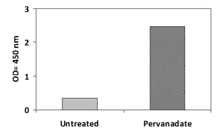 Sandwich ELISA - Phosphotyrosine TYRO3 ELISA Kit (AB279772)