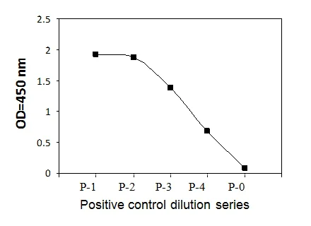 Sandwich ELISA - Phosphotyrosine TYRO3 ELISA Kit (AB279772)
