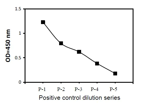 Sandwich ELISA - Phosphotyrosine VEGF Receptor 3 ELISA Kit (AB279967)